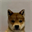 dogwifouthat (WIFOUT)