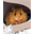 Woolly Mouse (WOOLLY)