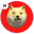 Wrapped OptiDoge (WOPTIDOGE)