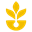 RxSeed Coin (WSOW)