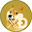 XDOGE (XDOGE)