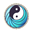 Flux YIN (YIN)